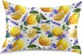 Satin Pillowcase 1 Pack Lemon Yellow Citrus Fruits (72) Similar to Silk Pillow Cases, 20" x 26" Soft Smooth Breathable Cool Pillow Cover for Hair and Skin, Standard Size