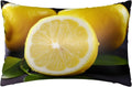 Satin Pillowcase for Hair and Skin Silk Pillow Cases Queen Size Satin Pillow Cover 20x30 Inches Yellow Lemon Pillowcases with Zipper Cooling Pillow Cases Gifts for Women Men